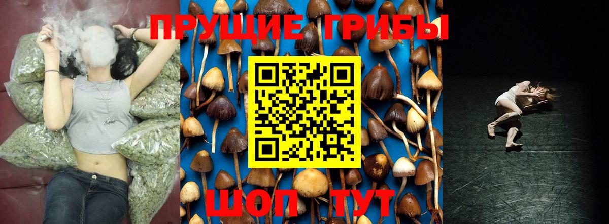 Псилоцибиновые грибы GOLDEN TEACHER  Вход с VPN  Тутаев 