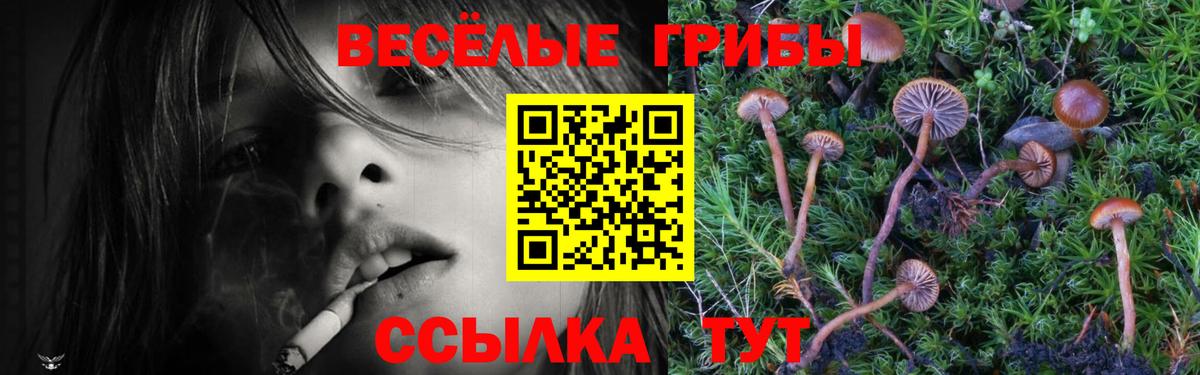 Псилоцибиновые грибы мухоморы Тутаев